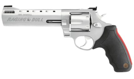 Taurus Raging Bull 454 Casull Matte Stainless Revolver with 6.5 Inch Barrel