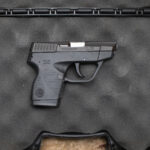 Taurus TCP PT-738 380 ACP Police Trade-In Pistol with Case