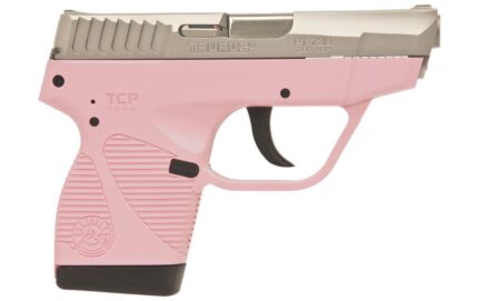 Taurus PT-738 TCP 380ACP Compact Pink Pistol with Stainless Slide