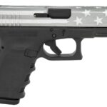 Glock 19 Gen3 9mm Pistol with Gray Battle Worn Flag Cerakote Steel Slide