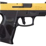 Taurus G2C 9mm Sub-Compact Pistol with Gold Slide (10-Round Model)
