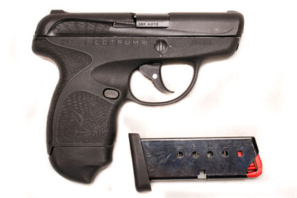 Taurus Spectrum 380 ACP Police-Trade Pistol