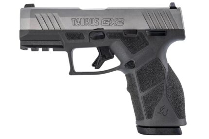 Taurus GX2 9mm Semi-Auto Pistol with Stainless Slide and Gray Frame